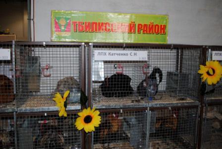 V агропромышленная выставка «Кубанская ярмарка 2015»